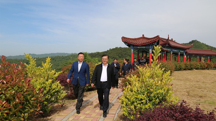 省人民檢察院黨組書記、檢察長朱玉調(diào)研金徽股份